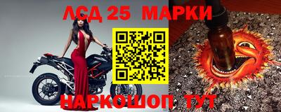 PSILOCYBIN Бугуруслан