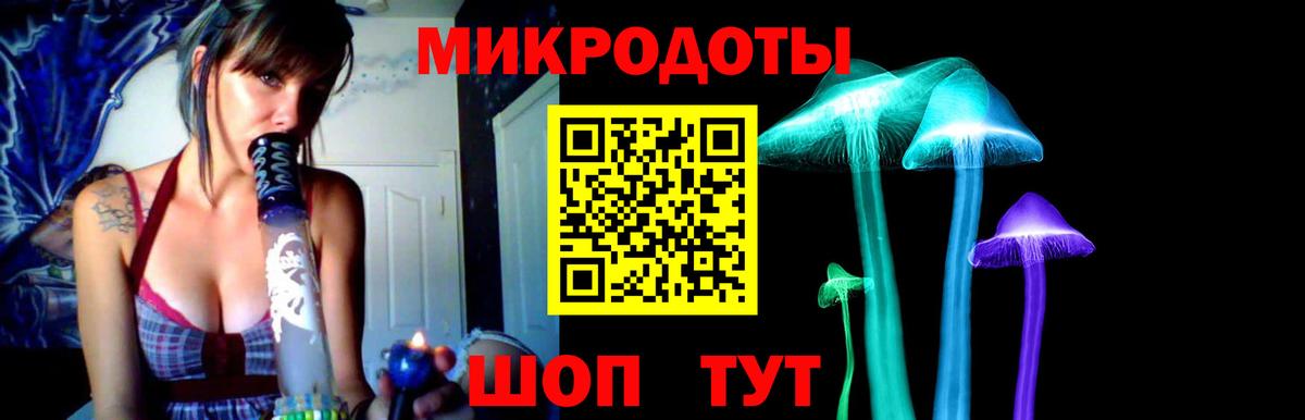 Псилоцибиновые грибы Psilocybine cubensis  Вход с VPN  Псилоцибиновые грибы GOLDEN TEACHER  Сосновоборск 